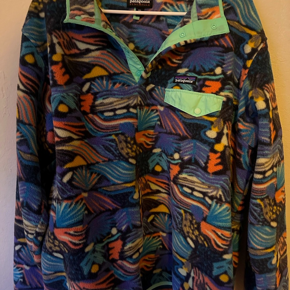 Multi colored fleece Patagonia synchilla